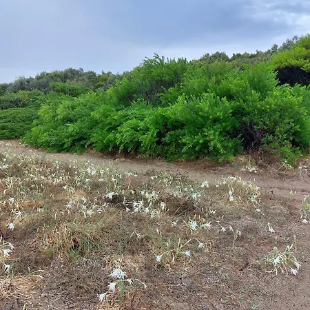 Casa Athena A 100 M Dal Mare Con Parcheggio Privato Gratuito *