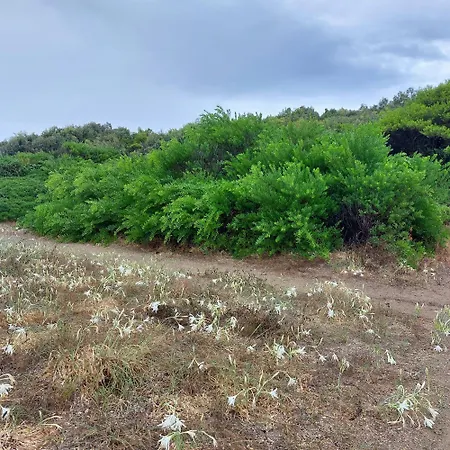 Tatil Evi Casa Athena A 100 M Dal Mare Con Parcheggio Privato Gratuito